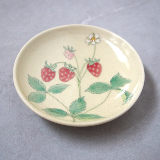 11-1　絵がわり浅皿 | 古賀智織