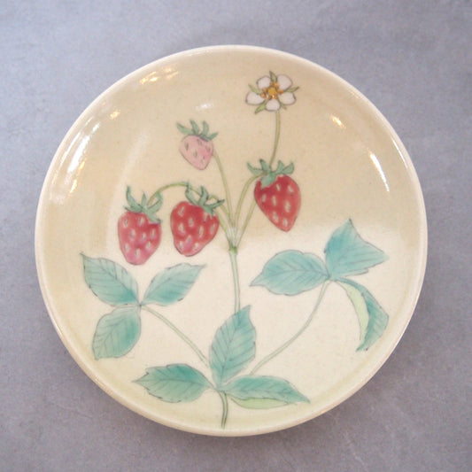 11-1　絵がわり浅皿 | 古賀智織