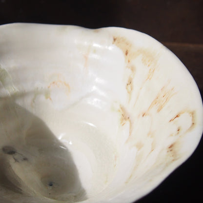 62 bowl（銀彩/漆） | 紫蓮