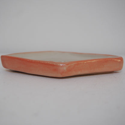 7　菱皿 ブタ | nicoyuzu