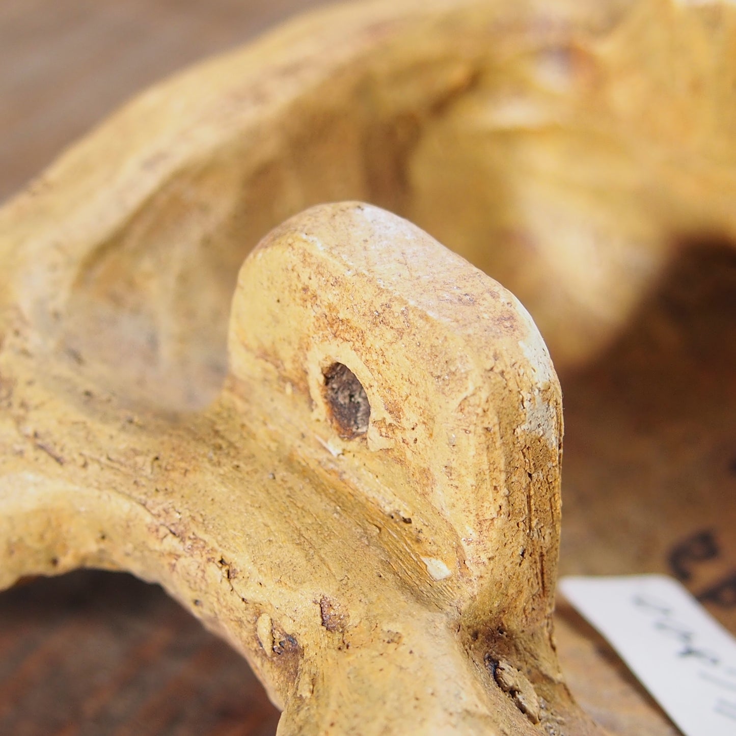 29　野うさぎさん | 本田あつみ