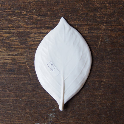 moca leaf⓵ 3