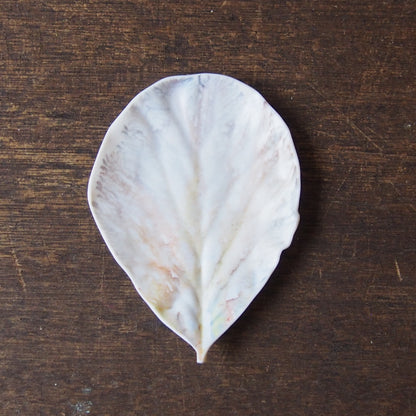 moca leaf⓶ 1
