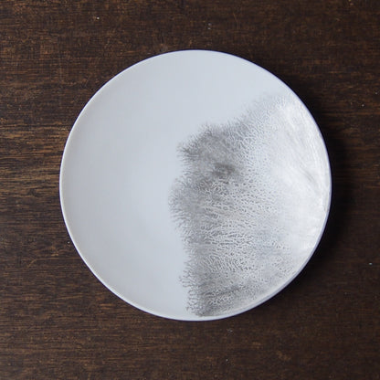 silver frost plate(S) 1