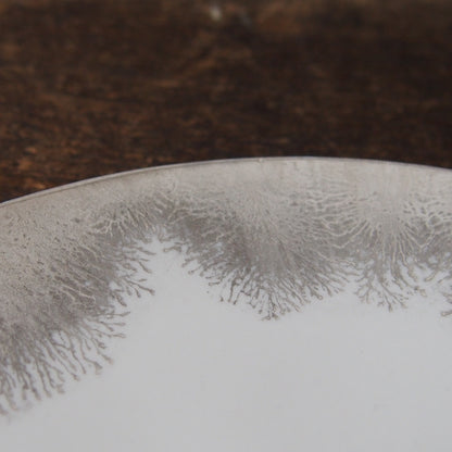 silver frost plate(M) 2