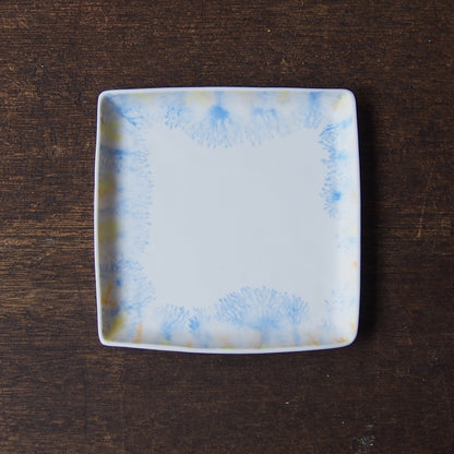 moca plate(□) 2
