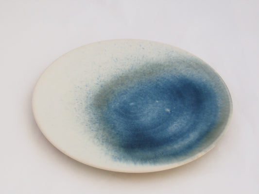 29-b　プレート（29） | 中園晋作