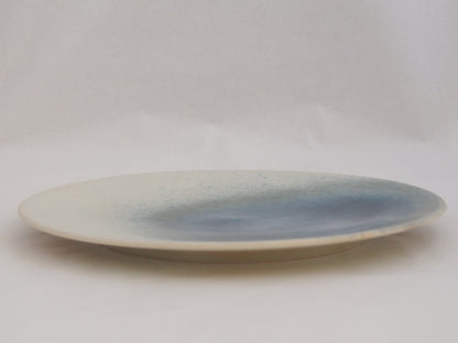 29-b　プレート（29） | 中園晋作