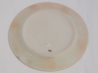 29-b　プレート（29） | 中園晋作