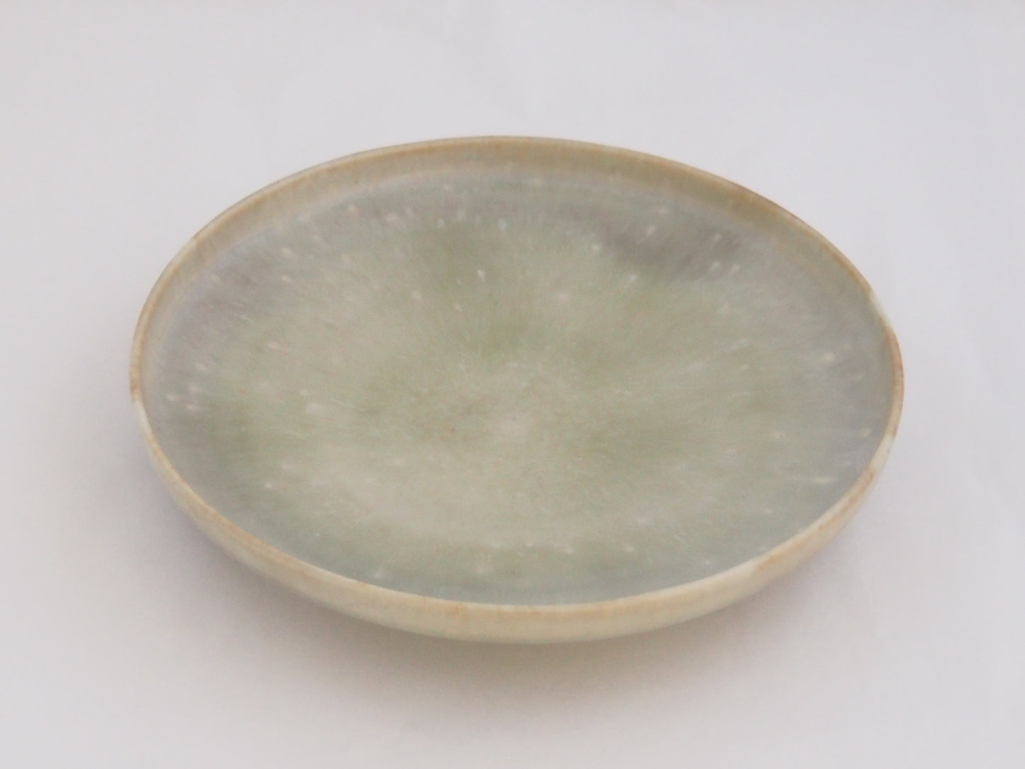 44　プレート（44） | 中園晋作