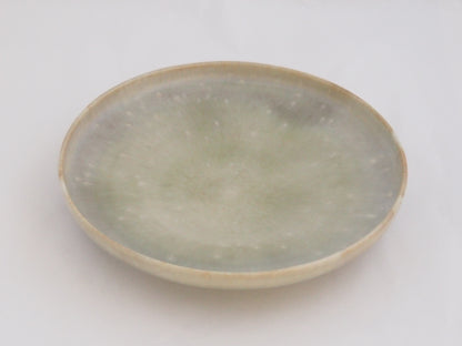 44　プレート（44） | 中園晋作