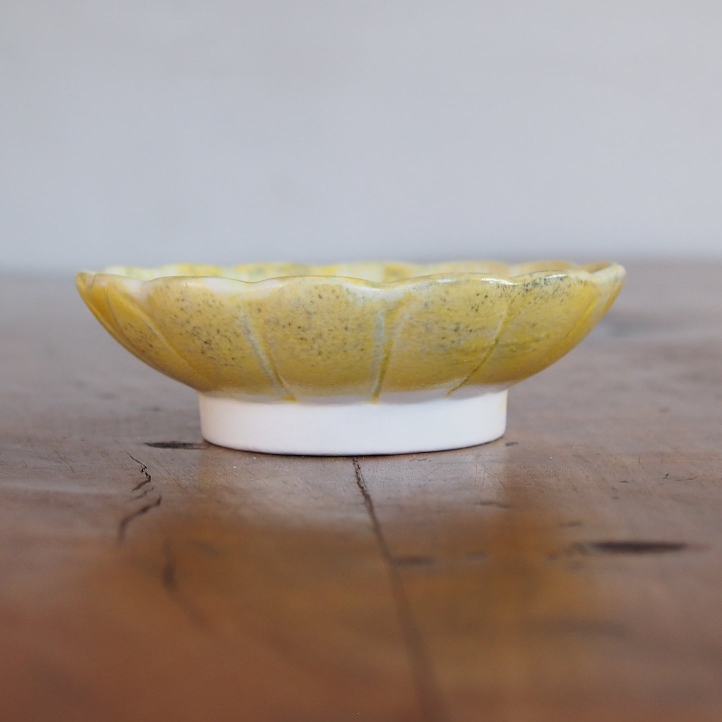 49-13 ガーベラ豆皿 | 梅本勇