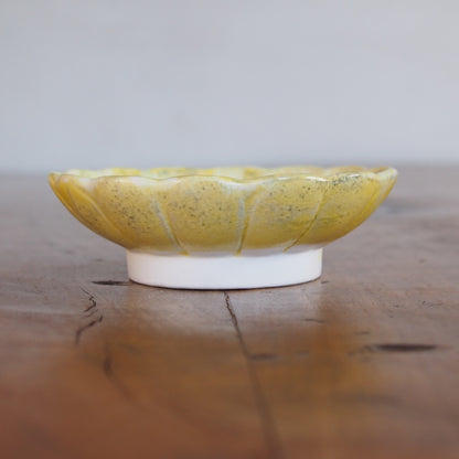 49-13 ガーベラ豆皿 | 梅本勇