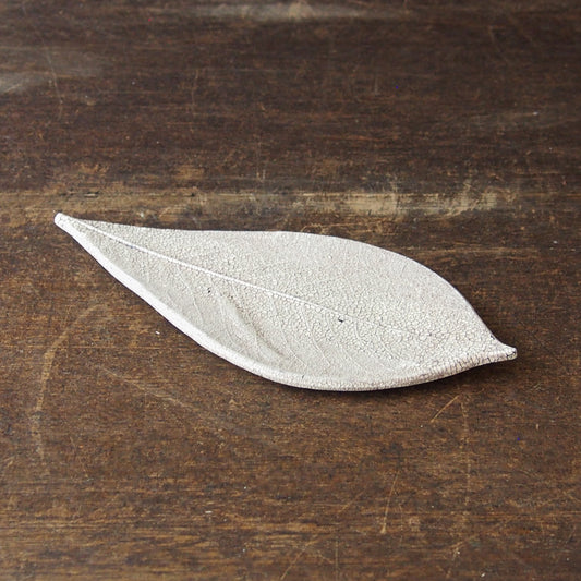 5 葉っぱ ほうのき 茶 | つきの虫