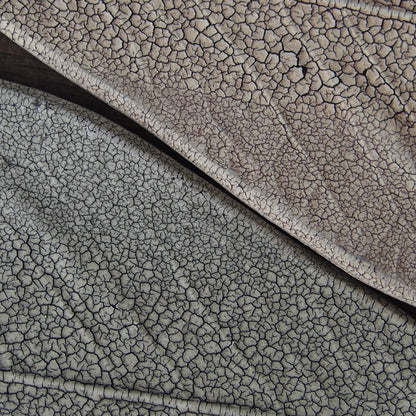 6 葉っぱ ほうのき黒 | つきの虫